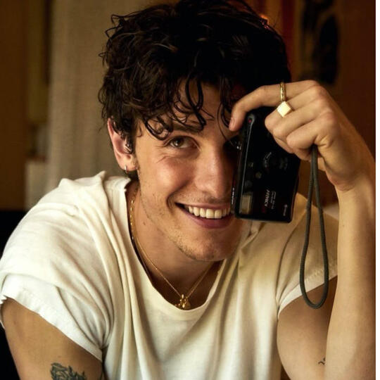 shawn mendes